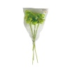 Palm Cup-Renk Kodu 60