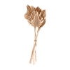 Palm Spear (Krem)