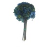 Şoklanmış Ortanca(Hydrangea) Code 76