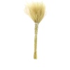 Stypa Naturel
