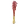 Mini Nigella (Vazo Çiçeği) Yerli Pembe