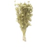 Nigella Yerli Naturel
