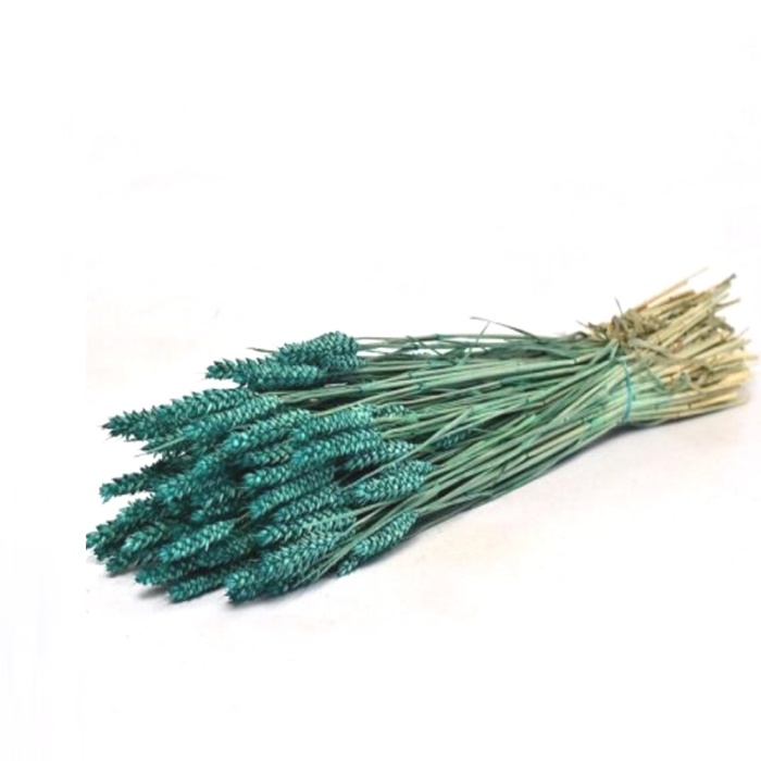 Trıtıcum Petrol Green