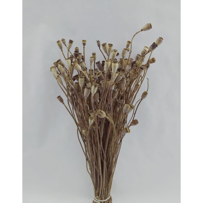 Mini Papaver Natural Demet Yerli