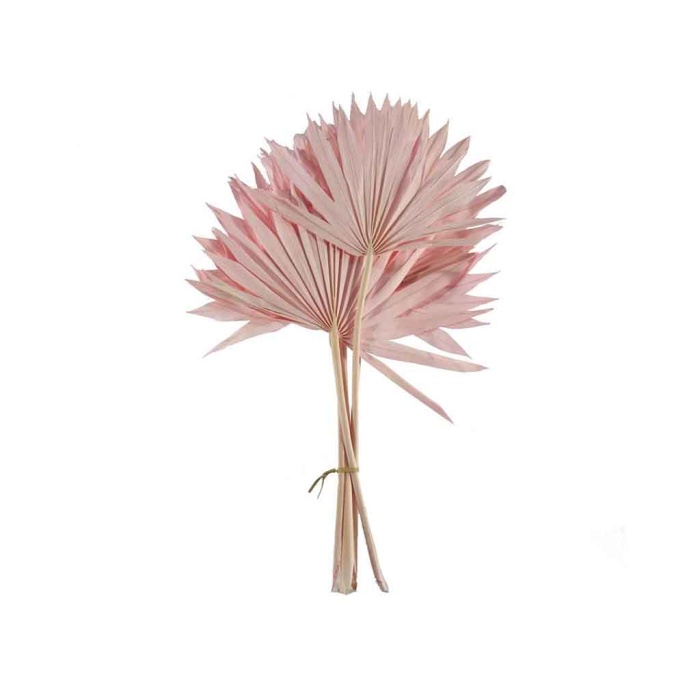 Palm Sun Pembe Demet