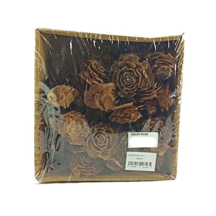 Cedar Rose Kutu