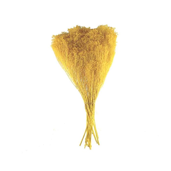 Broom Bloom-Sarı 200 Gr  Code 10