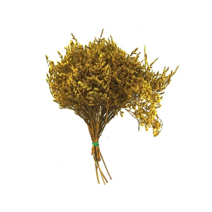 Tatarıca Sarı Demet