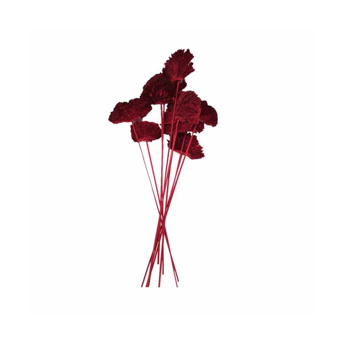 Mush Sponge Red