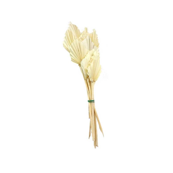 Palm Spear Beyaz 10 Dal