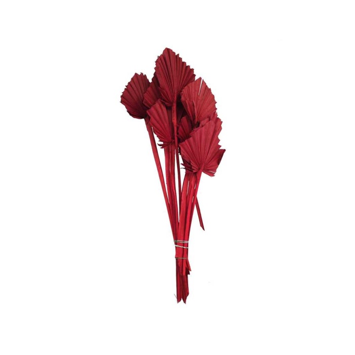 Palm Spear Kırmızı 10 Dal