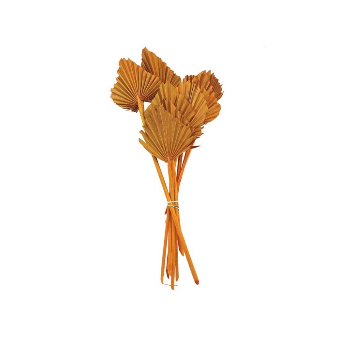 Palm Spear Hardal 10 Dal