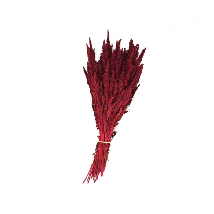 Amaranthus Kırmızı