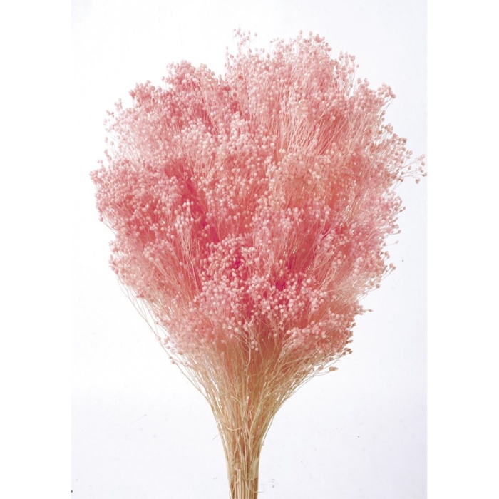 Broom Bloom Pudra Pembe 100 Gr Code 40