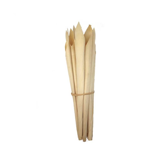 Calla Wood