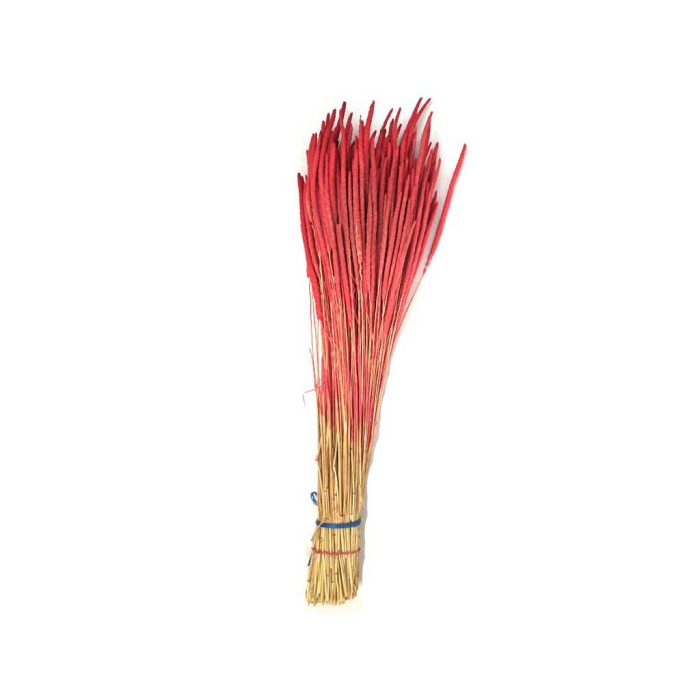 Phleum