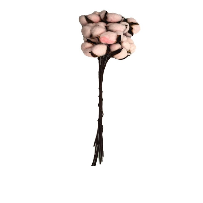 Gossypium - Pamuk (Pembe)