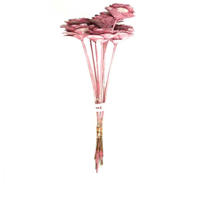 Wood Rose Pembe