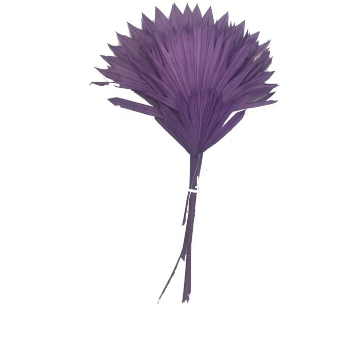 Palm Sun Mor Demet