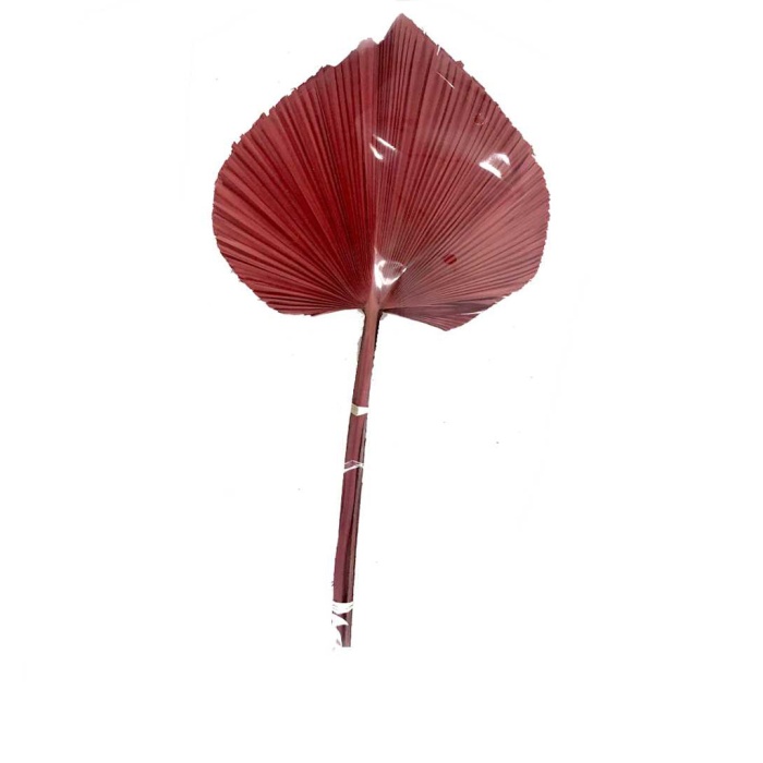Aloha Palm Kırmızı 5 Dal