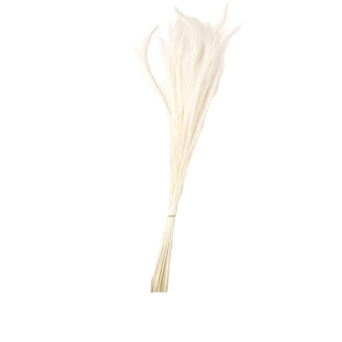 Fox Grass Beyaz Code 00