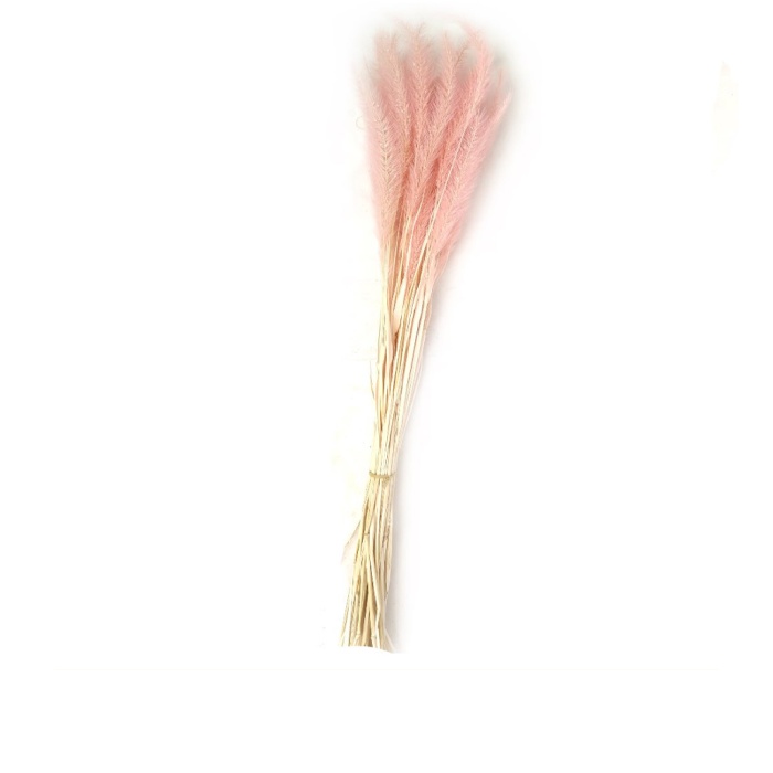 Tail Grass Pembe