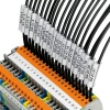 PHO-0828769 US-WMT (23X4) (56)