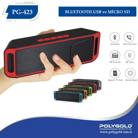 PG-423 Bluetooth USB ve Micro SD