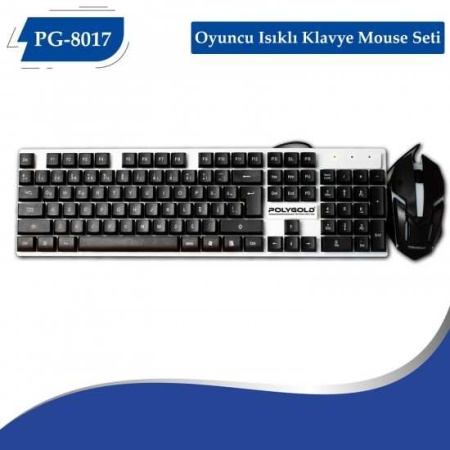 PG-8017 Oyuncu Isıklı Klavye Mouse Seti