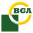 BGA