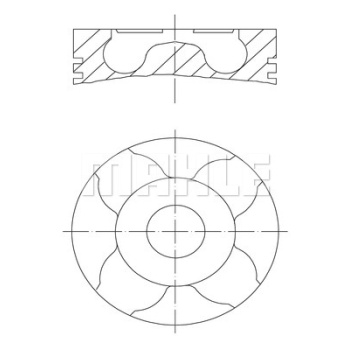 PISTON + SEGMAN STD 69.6 MM ( FIAT : ALBEA 1.3JTD OPEL : CORSA 1.3 CDTI )