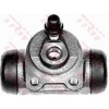 ARKA TEKER SLINDIRI SAG - SOL P106 P206 SAXO CAP19MM ABSSIZ - TRW BWD135