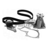 EKSANTRIK RULMAN KITI TRIGER SETI+SU POMPALI FIESTA IV - V 98-05 FUSION 02-05 1.25 16V - 1.4 16V FOCUS 98-05 1.4 16V - 1.6 16V MAZDA 121 III 1.25 96-03 VOLVO S40 II 1.6 05-12 MAZDA II 1.25 - 1.4 - 1.6 03- - AIRTEX WPK-410401