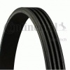 KANALLI KAYIS MICRO CLIO II 98=- KANGOO 97=- TWNG 96=- 1.2 1.2 16V - CONTI 4PK1538