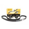 EKSANTRIK GERGI KITI 133x260 MEGANE II LOGAN II 04 SCENIC II 03 PRIMERA 1.9DCI F9Q - CONTI CT1064K1