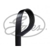 KANALLI KAYIS MAZDA MPV 2.0CITD 02-05 IVECO MERCEDES VOLVO- - GATES 8PK1230