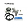 EKSANTRIK GERGI KITI 150x230 PASSAT 00 05 A4 95 04 A6 01 05 1.8T 2.0 AWM AWL AWT - SKF VKMA 01918