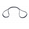 KANALLI KAYIS MICRA 1.2 2010- - BOSCH 1987945709