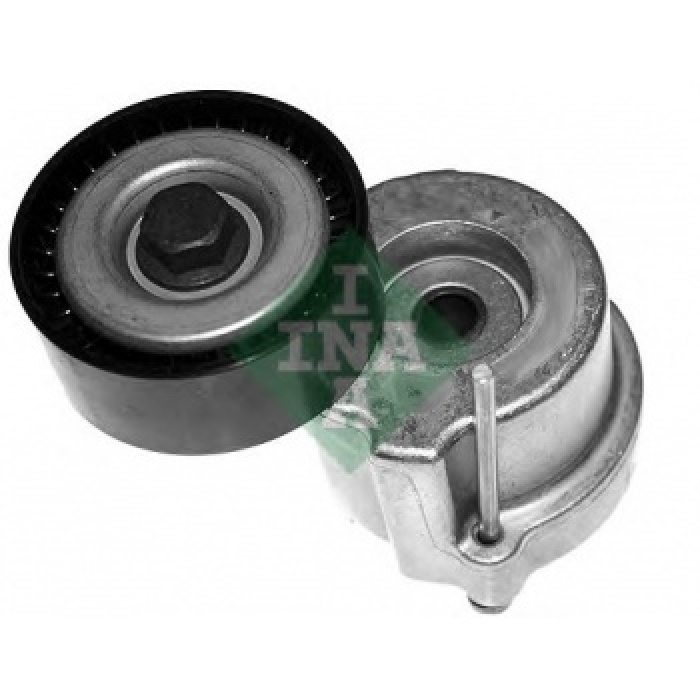 ALTERNATOR V KAYIS GERGI RULMANI KOMPLE LACETTI - INA 534040410