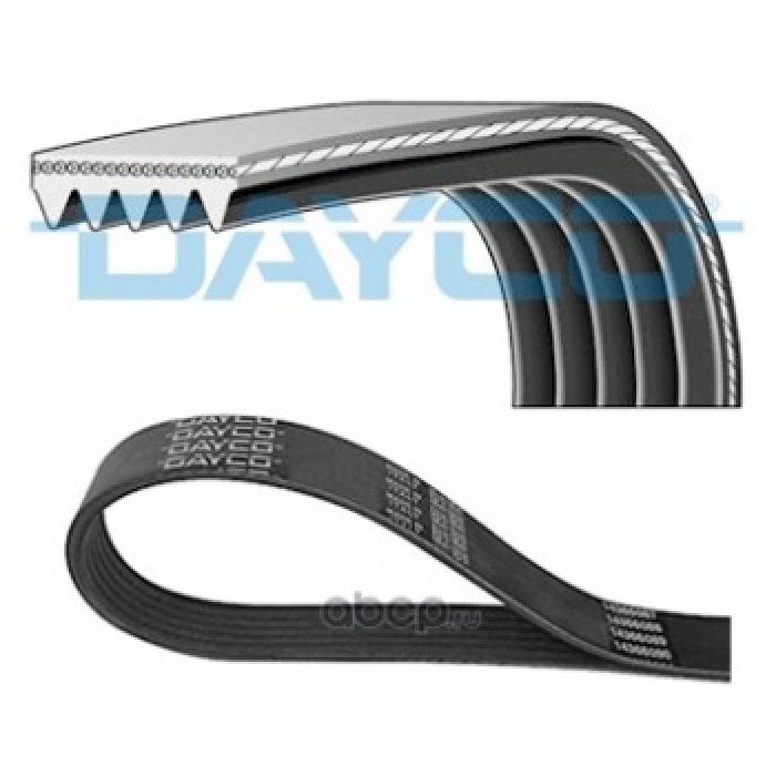 KANALLI KAYIS - DAYCO 5PK1230