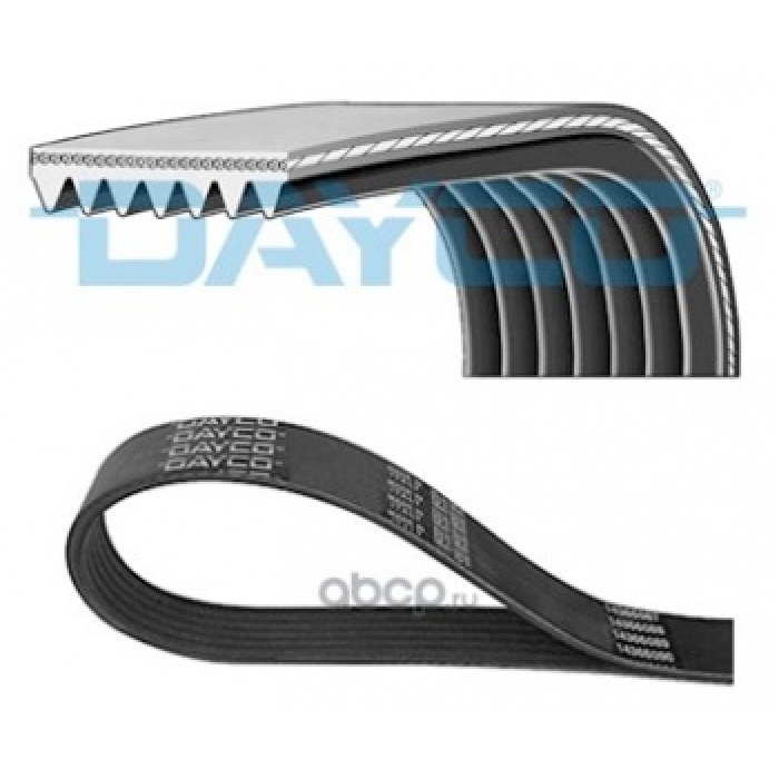 KANALLI KAYIS - DAYCO 7PK1035