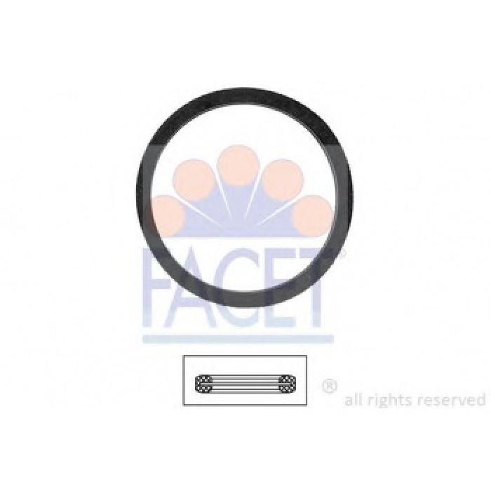 TERMOSTAT CONTASI R19 CLIO KANGOO MEGANE LOGAN - FACET 7.9568