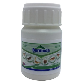 Bermuda EW Haşere İlacı 100 ml