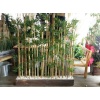 Bambu Bitki Destek Sopası 120 cm 10 Adet