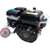 Benzinli Motorlu İlaçlama Makinası FST-22A 6.5 Hp