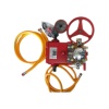 Gardenpro LS-25A Basınçlı Pistonlu İlaçlama Pompası