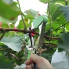 Gardenpro Bitki Bağlama Tabancası- Bağlama Bandı Ve Zımba Hediyeli