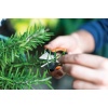 Fiskars 1063326 SP220 Bitki Makası