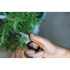 Fiskars 1063326 SP220 Bitki Makası