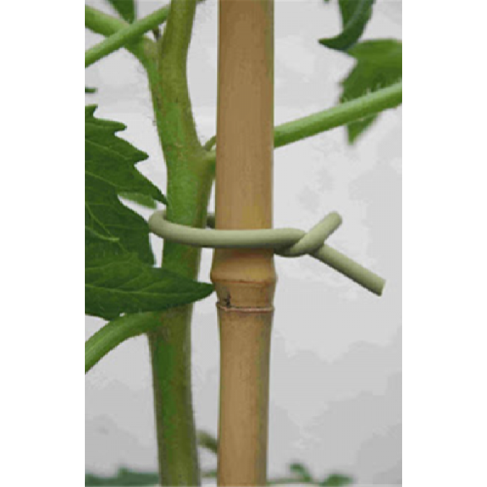 Bambu Bitki Destek Sopası 150 cm 10 Adet